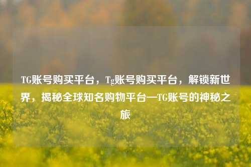 TG账号购买平台，Tg账号购买平台，解锁新世界，揭秘全球知名购物平台—TG账号的神秘之旅
