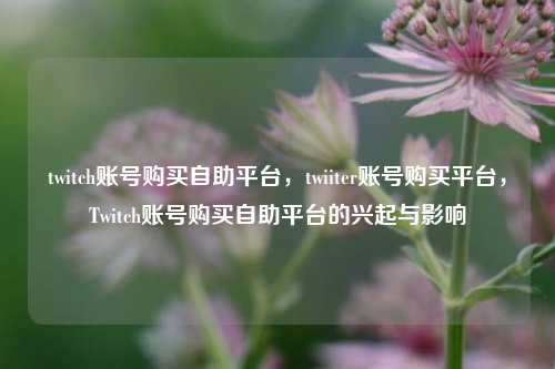 twitch账号购买自助平台，twiiter账号购买平台，Twitch账号购买自助平台的兴起与影响