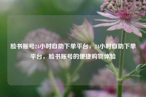 脸书账号24小时自助下单平台，24小时自助下单平台，脸书账号的便捷购物体验