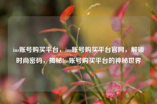 ins账号购买平台，ins账号购买平台官网，解锁时尚密码，揭秘Ins账号购买平台的神秘世界