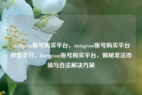 instagram账号购买平台，instagram账号购买平台微信支付	，Instagram账号购买平台，揭秘非法市场与合法解决方案  第1张