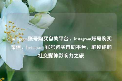 instagram账号购买自助平台，instagram账号购买渠道，Instagram 账号购买自助平台，解锁你的社交媒体影响力之旅