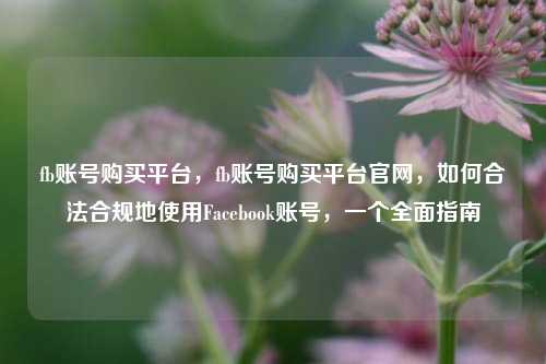 fb账号购买平台，fb账号购买平台官网，如何合法合规地使用Facebook账号，一个全面指南
