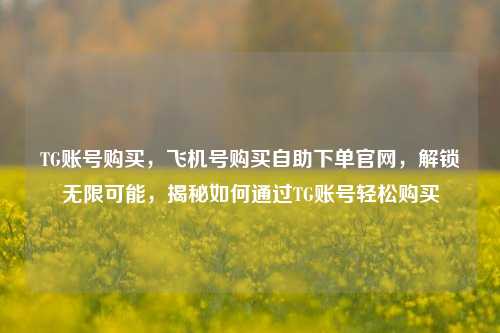 TG账号购买，飞机号购买自助下单官网，解锁无限可能，揭秘如何通过TG账号轻松购买