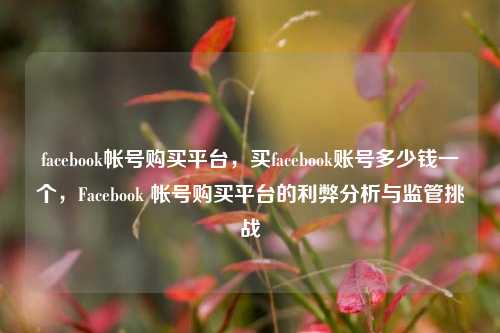 facebook帐号购买平台，买facebook账号多少钱一个，Facebook 帐号购买平台的利弊分析与监管挑战