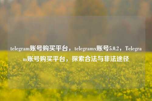 telegram账号购买平台，telegramx账号5.0.2，Telegram账号购买平台，探索合法与非法途径