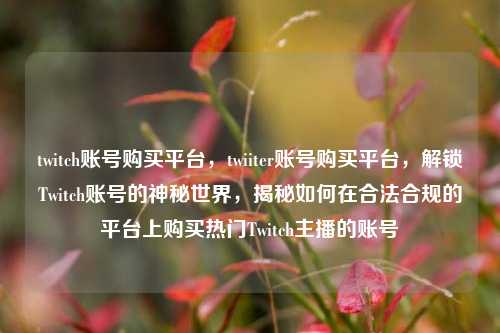 twitch账号购买平台，twiiter账号购买平台，解锁Twitch账号的神秘世界，揭秘如何在合法合规的平台上购买热门Twitch主播的账号