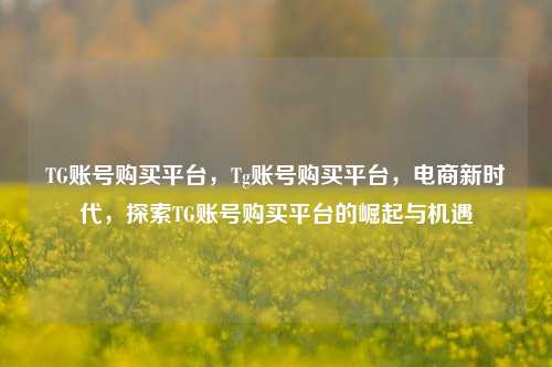 TG账号购买平台，Tg账号购买平台，电商新时代，探索TG账号购买平台的崛起与机遇