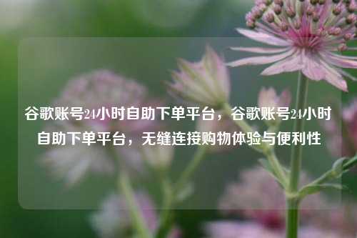 谷歌账号24小时自助下单平台，谷歌账号24小时自助下单平台，无缝连接购物体验与便利性