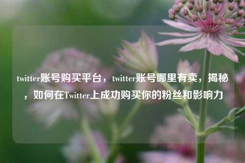 twitter账号购买平台，twitter账号哪里有卖，揭秘	，如何在Twitter上成功购买你的粉丝和影响力  第1张