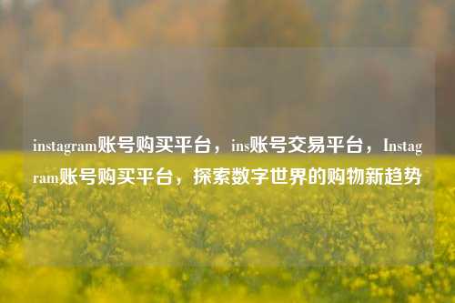 instagram账号购买平台	，ins账号交易平台，Instagram账号购买平台，探索数字世界的购物新趋势  第1张