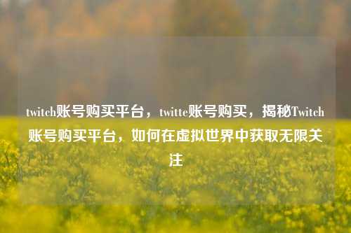 twitch账号购买平台，twitte账号购买，揭秘Twitch账号购买平台，如何在虚拟世界中获取无限关注