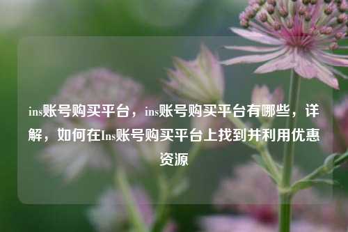 ins账号购买平台，ins账号购买平台有哪些，详解，如何在Ins账号购买平台上找到并利用优惠资源