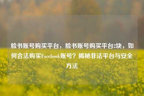 脸书账号购买平台，脸书账号购买平台2块，如何合法购买Facebook账号？揭秘非法平台与安全方法