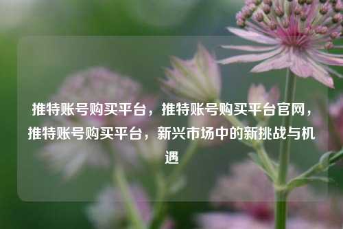 推特账号购买平台，推特账号购买平台官网，推特账号购买平台，新兴市场中的新挑战与机遇