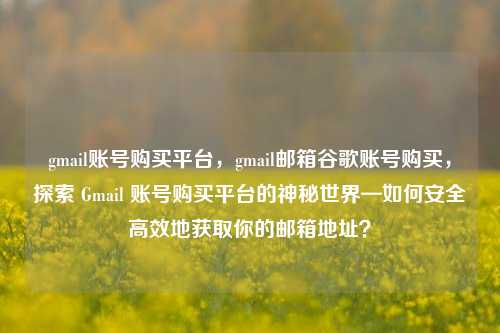 gmail账号购买平台，gmail邮箱谷歌账号购买	，探索 Gmail 账号购买平台的神秘世界—如何安全高效地获取你的邮箱地址？  第1张