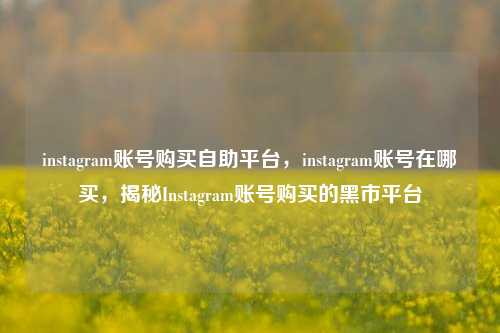 instagram账号购买自助平台	，instagram账号在哪买，揭秘Instagram账号购买的黑市平台  第1张