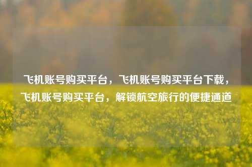 飞机账号购买平台，飞机账号购买平台下载，飞机账号购买平台，解锁航空旅行的便捷通道