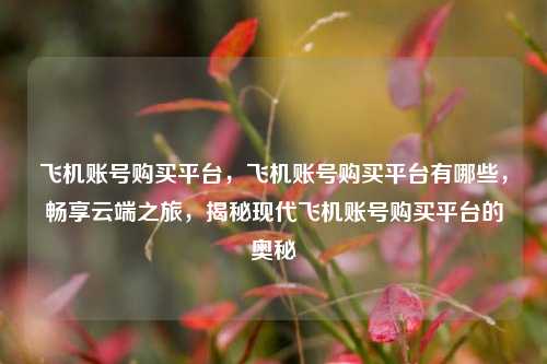 飞机账号购买平台，飞机账号购买平台有哪些，畅享云端之旅，揭秘现代飞机账号购买平台的奥秘