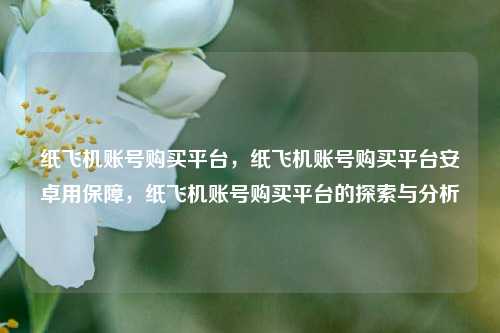 纸飞机账号购买平台，纸飞机账号购买平台安卓用保障，纸飞机账号购买平台的探索与分析
