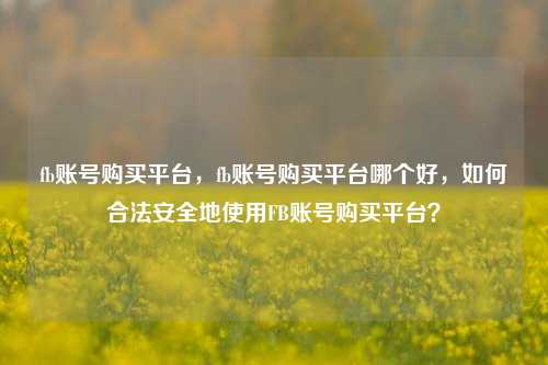 fb账号购买平台，fb账号购买平台哪个好，如何合法安全地使用FB账号购买平台？