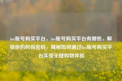 ins账号购买平台，ins账号购买平台有哪些，解锁你的时尚密码，揭秘如何通过Ins账号购买平台实现无缝购物体验