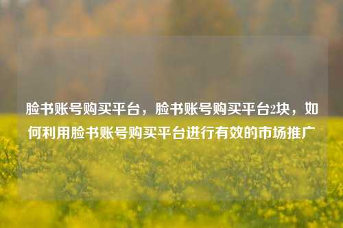 脸书账号购买平台，脸书账号购买平台2块，如何利用脸书账号购买平台进行有效的市场推广