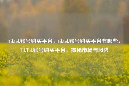 tiktok账号购买平台，tiktok账号购买平台有哪些，TikTok账号购买平台，揭秘市场与风险