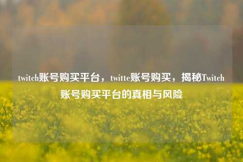 twitch账号购买平台，twitte账号购买，揭秘Twitch账号购买平台的真相与风险
