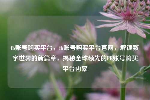 fb账号购买平台，fb账号购买平台官网，解锁数字世界的新篇章，揭秘全球领先的FB账号购买平台内幕