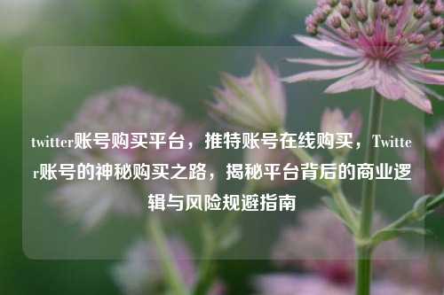 twitter账号购买平台，推特账号在线购买，Twitter账号的神秘购买之路，揭秘平台背后的商业逻辑与风险规避指南
