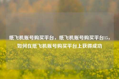 纸飞机账号购买平台，纸飞机账号购买平台15，如何在纸飞机账号购买平台上获得成功