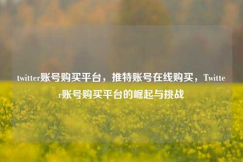 twitter账号购买平台	，推特账号在线购买，Twitter账号购买平台的崛起与挑战  第1张
