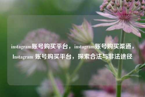 instagram账号购买平台，instagram账号购买渠道	，Instagram 账号购买平台，探索合法与非法途径  第1张