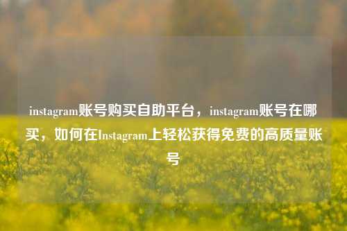 instagram账号购买自助平台，instagram账号在哪买	，如何在Instagram上轻松获得免费的高质量账号  第1张