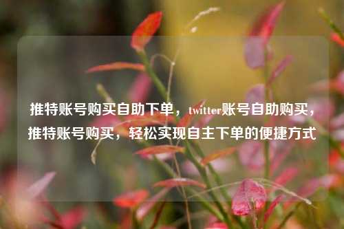 推特账号购买自助下单	，twitter账号自助购买，推特账号购买，轻松实现自主下单的便捷方式  第1张