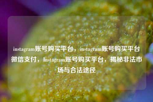 instagram账号购买平台，instagram账号购买平台微信支付，Instagram账号购买平台，揭秘非法市场与合法途径