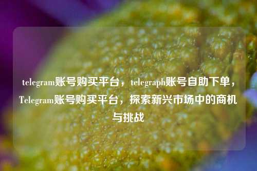 telegram账号购买平台，telegraph账号自助下单，Telegram账号购买平台，探索新兴市场中的商机与挑战