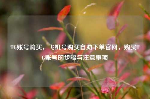TG账号购买	，飞机号购买自助下单官网，购买TG账号的步骤与注意事项  第1张