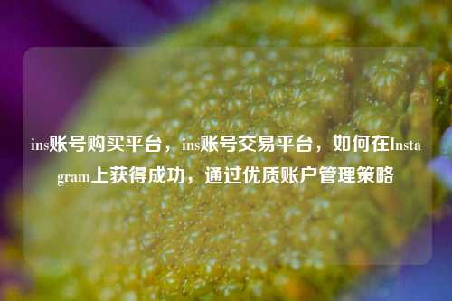 ins账号购买平台	，ins账号交易平台，如何在Instagram上获得成功，通过优质账户管理策略  第1张