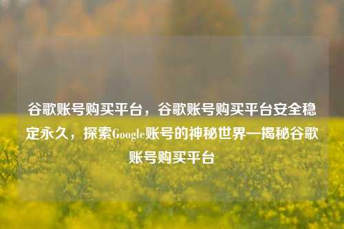 谷歌账号购买平台，谷歌账号购买平台安全稳定永久	，探索Google账号的神秘世界—揭秘谷歌账号购买平台  第1张