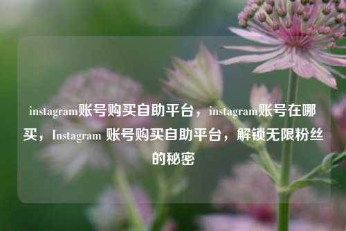 instagram账号购买自助平台，instagram账号在哪买，Instagram 账号购买自助平台，解锁无限粉丝的秘密