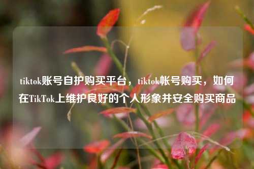 tiktok账号自护购买平台，tiktok帐号购买	，如何在TikTok上维护良好的个人形象并安全购买商品  第1张