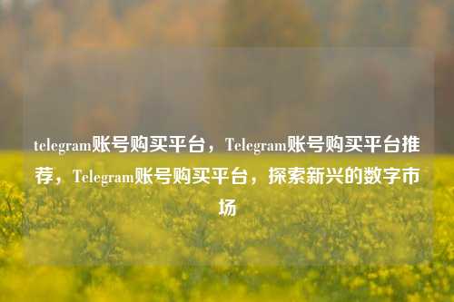 telegram账号购买平台，Telegram账号购买平台推荐，Telegram账号购买平台，探索新兴的数字市场  第1张