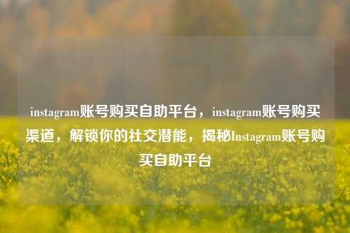 instagram账号购买自助平台，instagram账号购买渠道，解锁你的社交潜能，揭秘Instagram账号购买自助平台