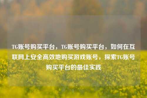 TG账号购买平台，TG账号购买平台，如何在互联网上安全高效地购买游戏账号，探索TG账号购买平台的最佳实践