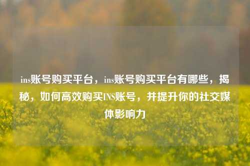 ins账号购买平台	，ins账号购买平台有哪些，揭秘，如何高效购买INS账号	，并提升你的社交媒体影响力  第1张