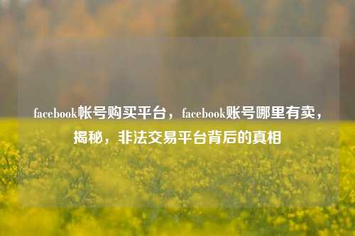 facebook帐号购买平台，facebook账号哪里有卖，揭秘，非法交易平台背后的真相