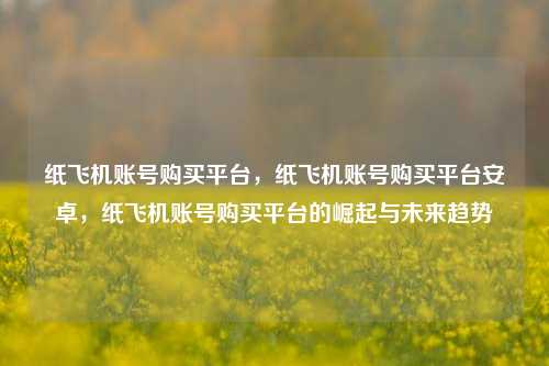 纸飞机账号购买平台，纸飞机账号购买平台安卓，纸飞机账号购买平台的崛起与未来趋势