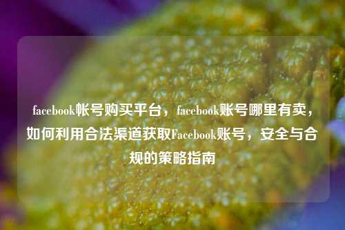 facebook帐号购买平台，facebook账号哪里有卖，如何利用合法渠道获取Facebook账号，安全与合规的策略指南